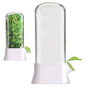 Dispenser Recipiente Armazenamento Ervas Frescas Geladeira Conserva Aspargo Salsa Alecrim Coentro