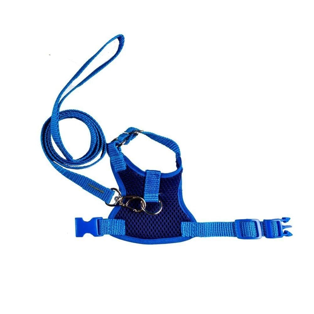 Coleira Peitoral Aerado Azul Tamanho P - Nicapet