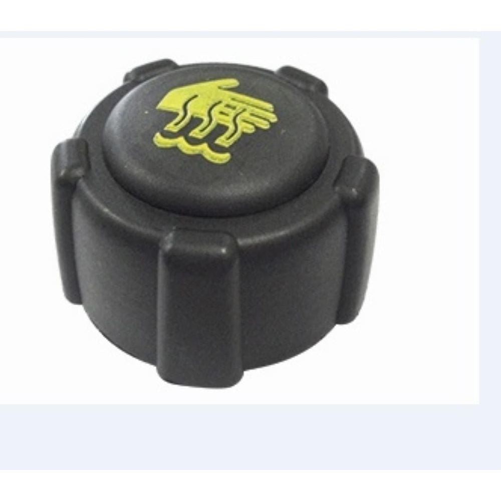 Tampa Reservatório Radiador Renault Clio Megane MF753