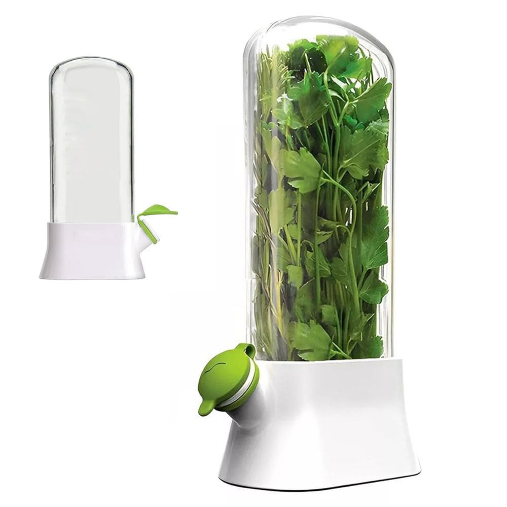 Herbario Recipiente Conversador Ervas Frescas Conserva Alface Hortela Coentro Salsa Alecrim