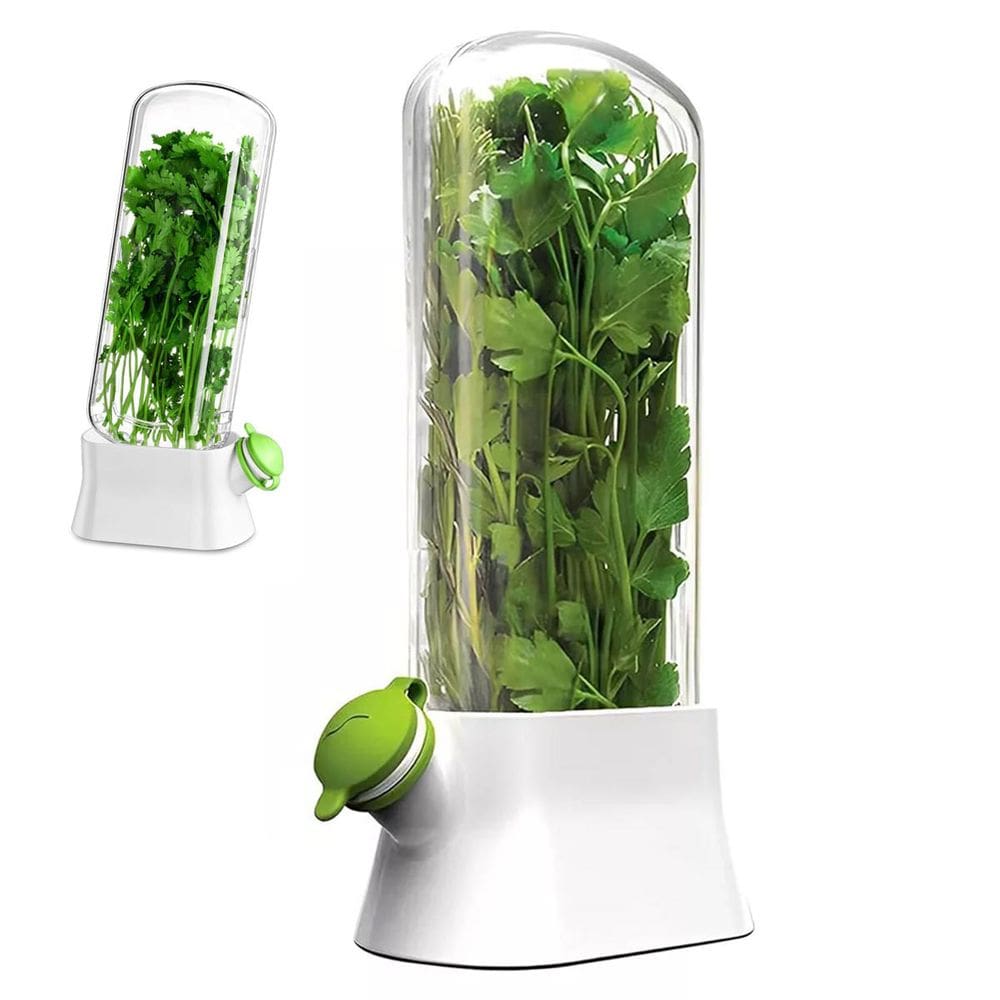 Herbario Conserva Ervas Frescas Geladeira Coentro Salsa Alecrim Hortela Alface Legumes Vegetais Salada
