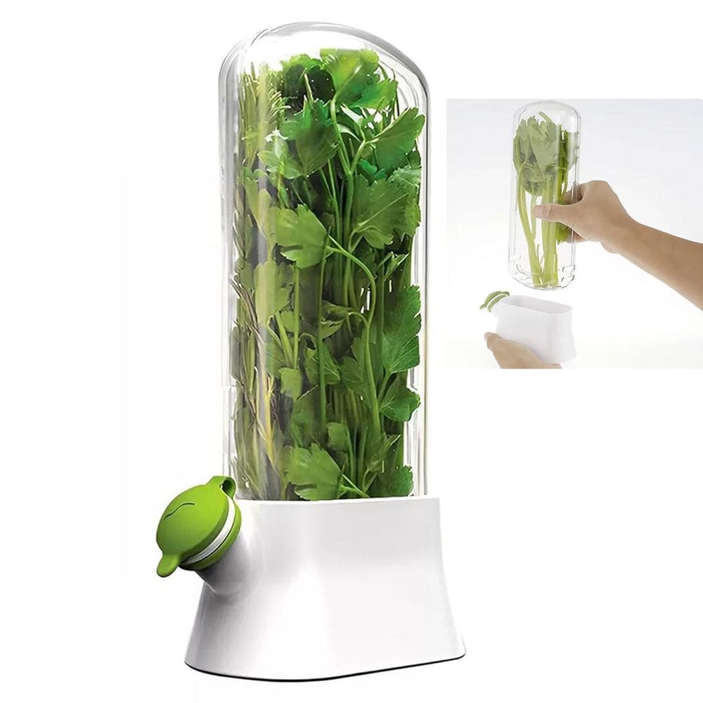 Herbario de Ervas Frescas Recipiente Geladeira Conserva Alface Coentro Salsa Hortela Alecrim Vegetais Legumes