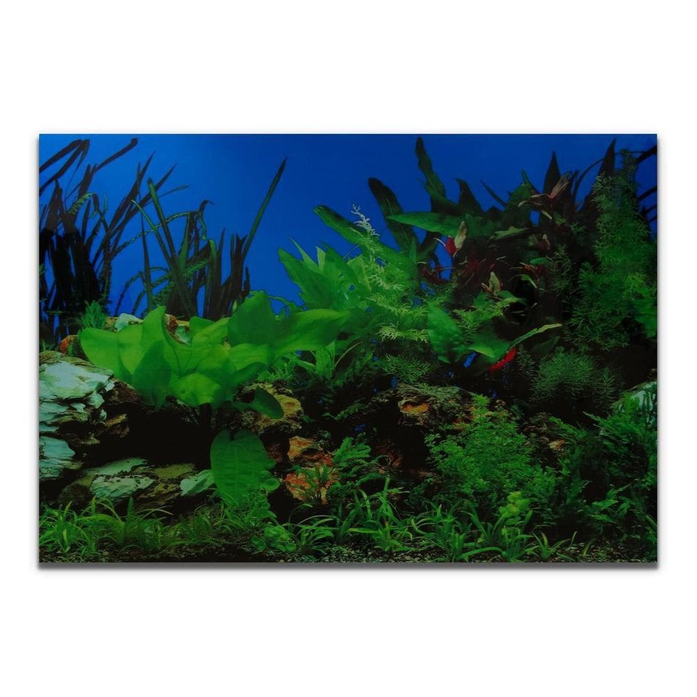 Painel Aquários Fundo Azul, Rochas E Plantas 60X200Cm Pp-085