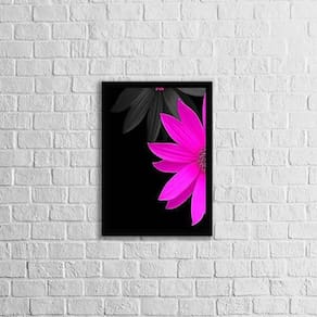 Quadro Fotografia Meia Flor Rosa 24X18Cm