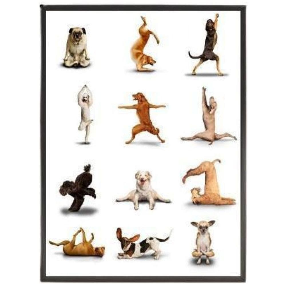 Quadro Decorativo Yoga Dogs 45X34 Com Vidro - Madeira Preta