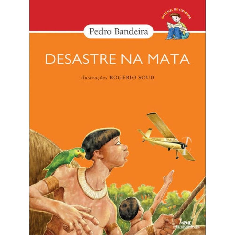 Desastre Na Mata