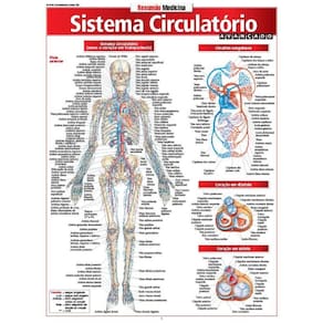 Sistema Circulatório Avançado