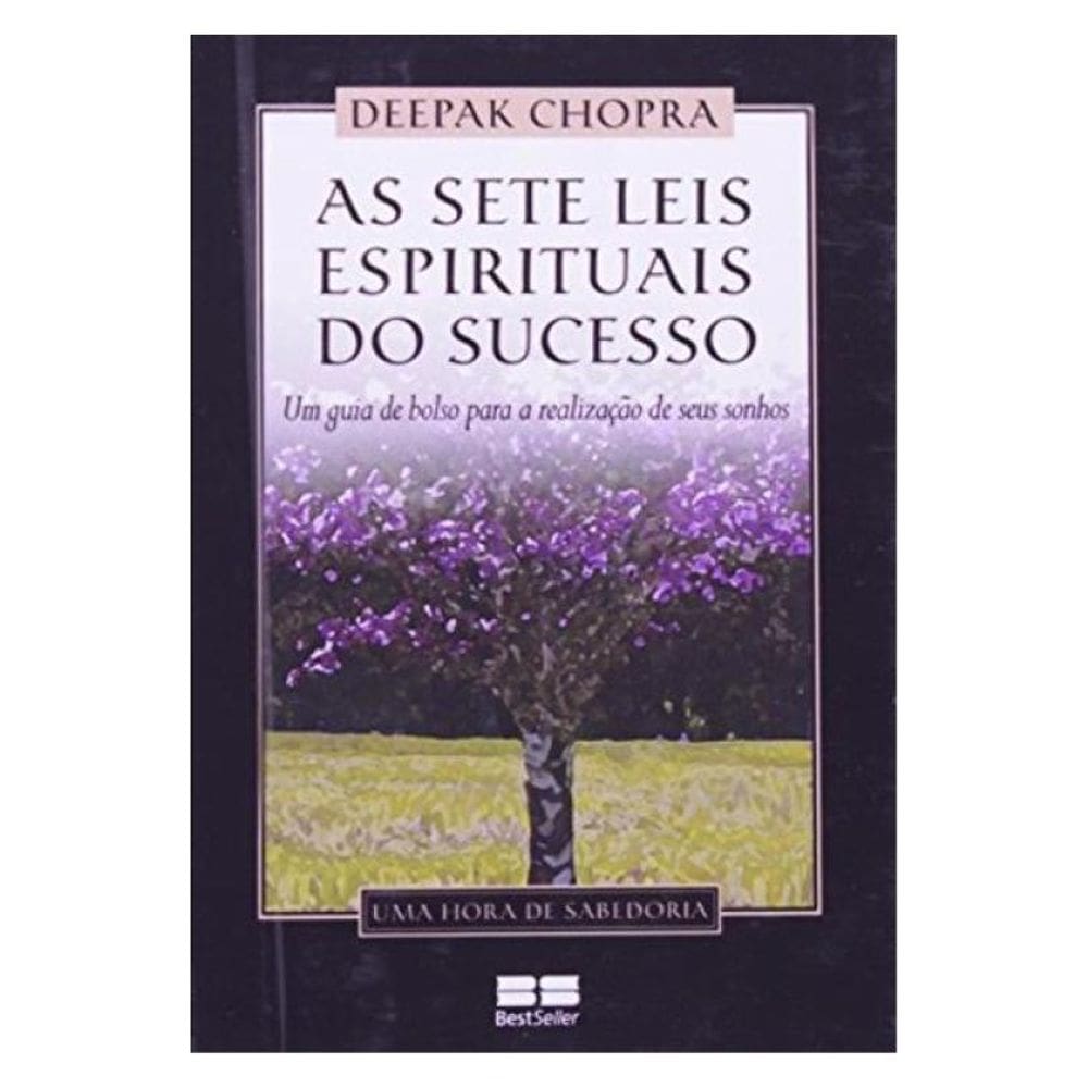 As Sete Leis Espirituais Do Sucesso (Miniedição)