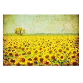 Fundo Fotográfico Pequeno Girassol 1,50X1,20 Ffp-576