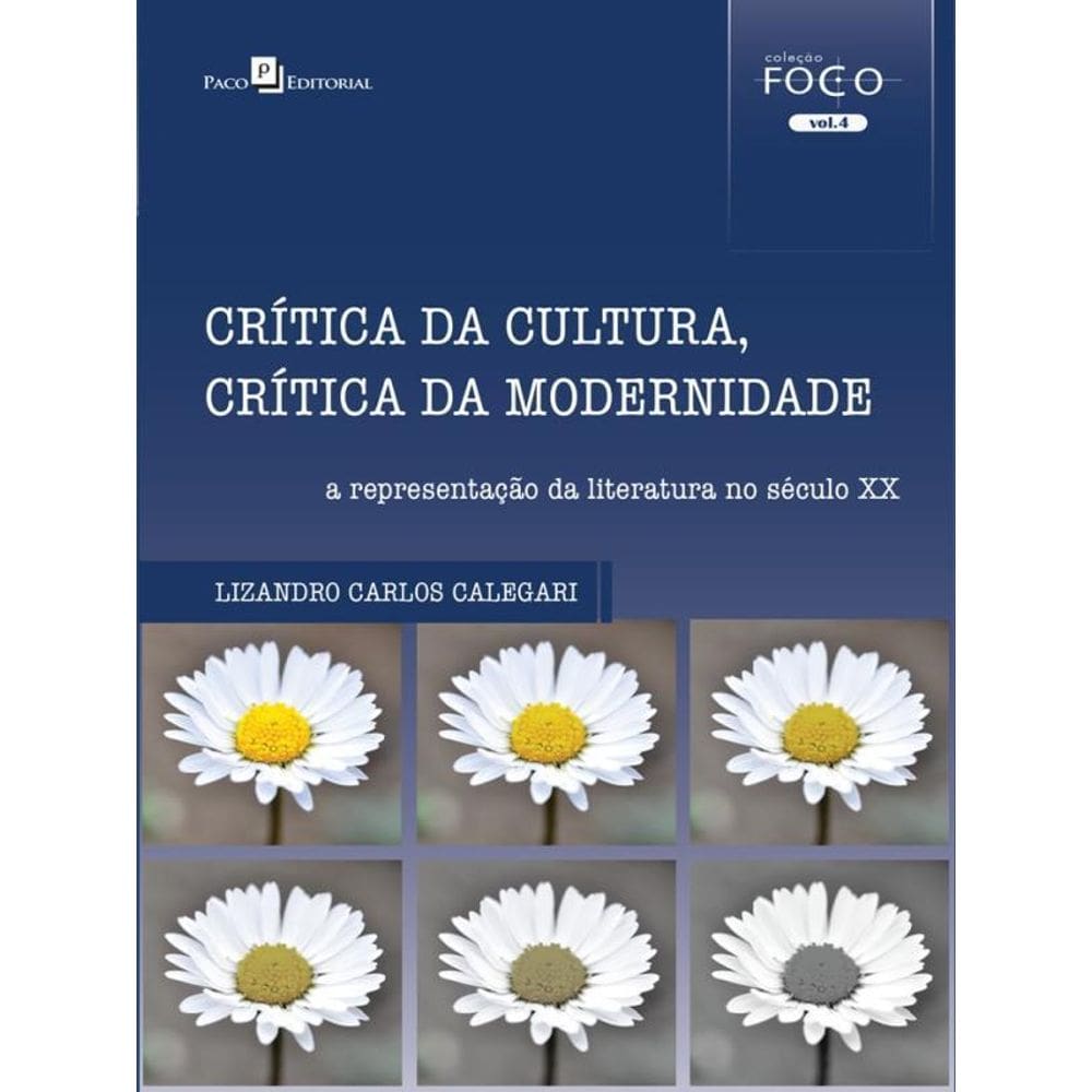 Crítica Da Cultura, Crítica Da Modernidade