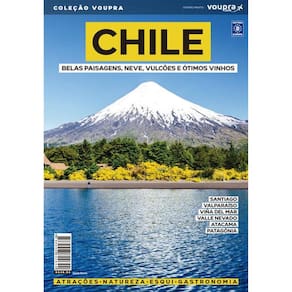 Chile - Belas Paisagens, Neve, Vulcões E Ótimos Vinhos