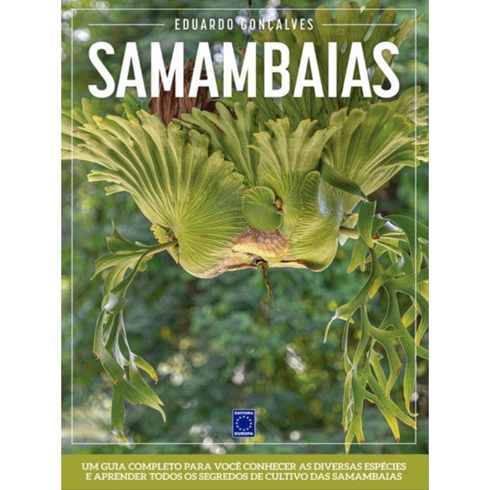 Samambaias