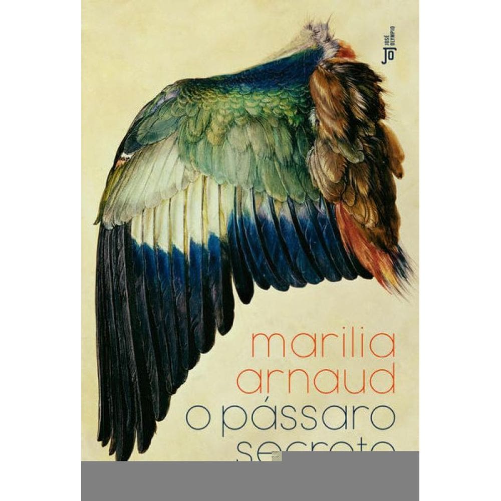 O Pássaro Secreto