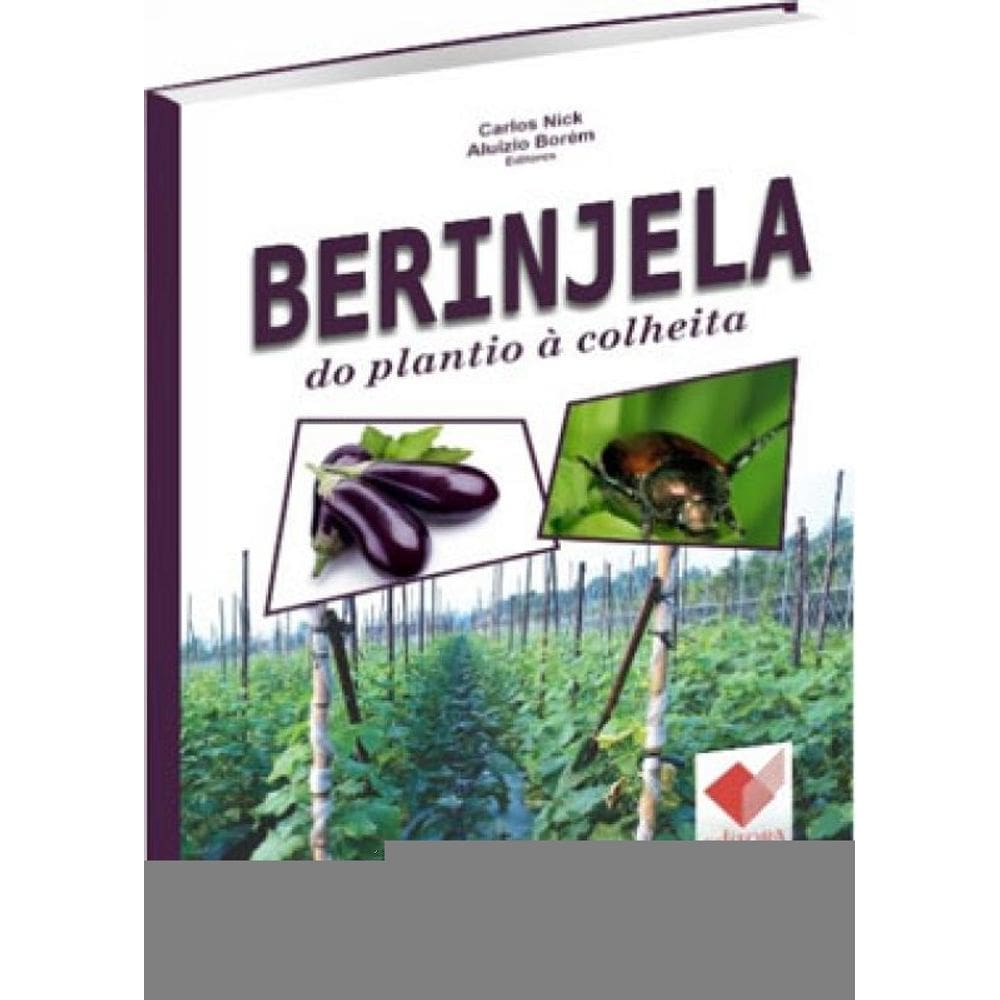Berinjela - Do Plantio À Colheita