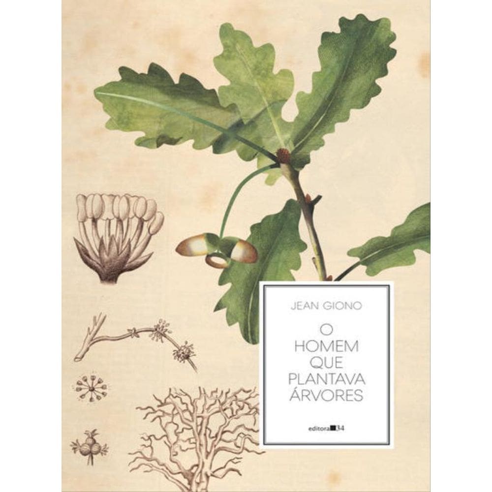 O Homem Que Plantava Árvores