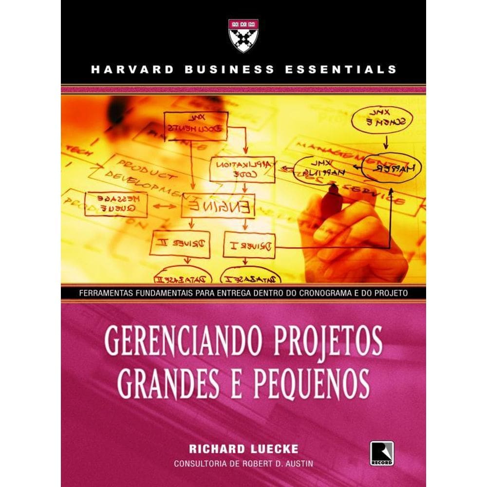 Gerenciando Projetos Grandes E Pequenos