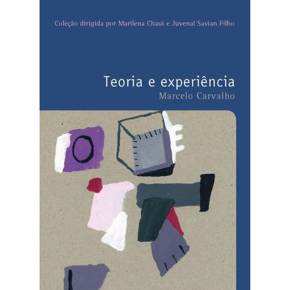 Teoria E Experiência