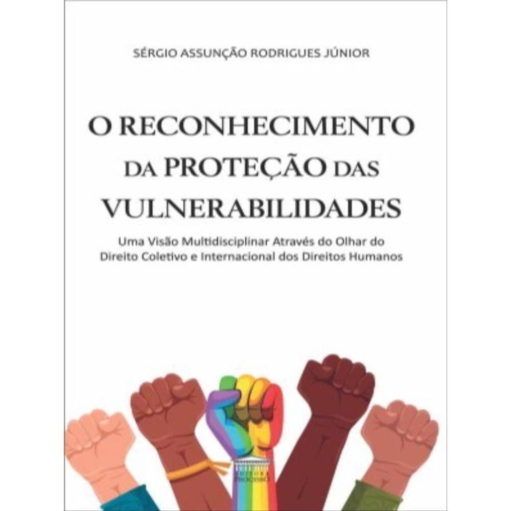 O Reconhecimento Da Proteção Das Vulnerabilidades