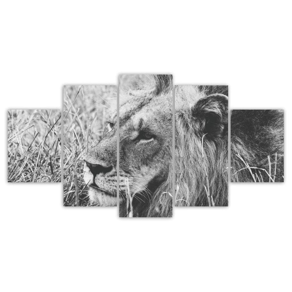 Quadros Decorativos Mosaico Mdf Leão Preto E Branco 115X60Cm
