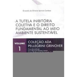 Tutela Inibitória Coletiva e o Direito Fundamental ao Meio Ambiente Sustentável, A