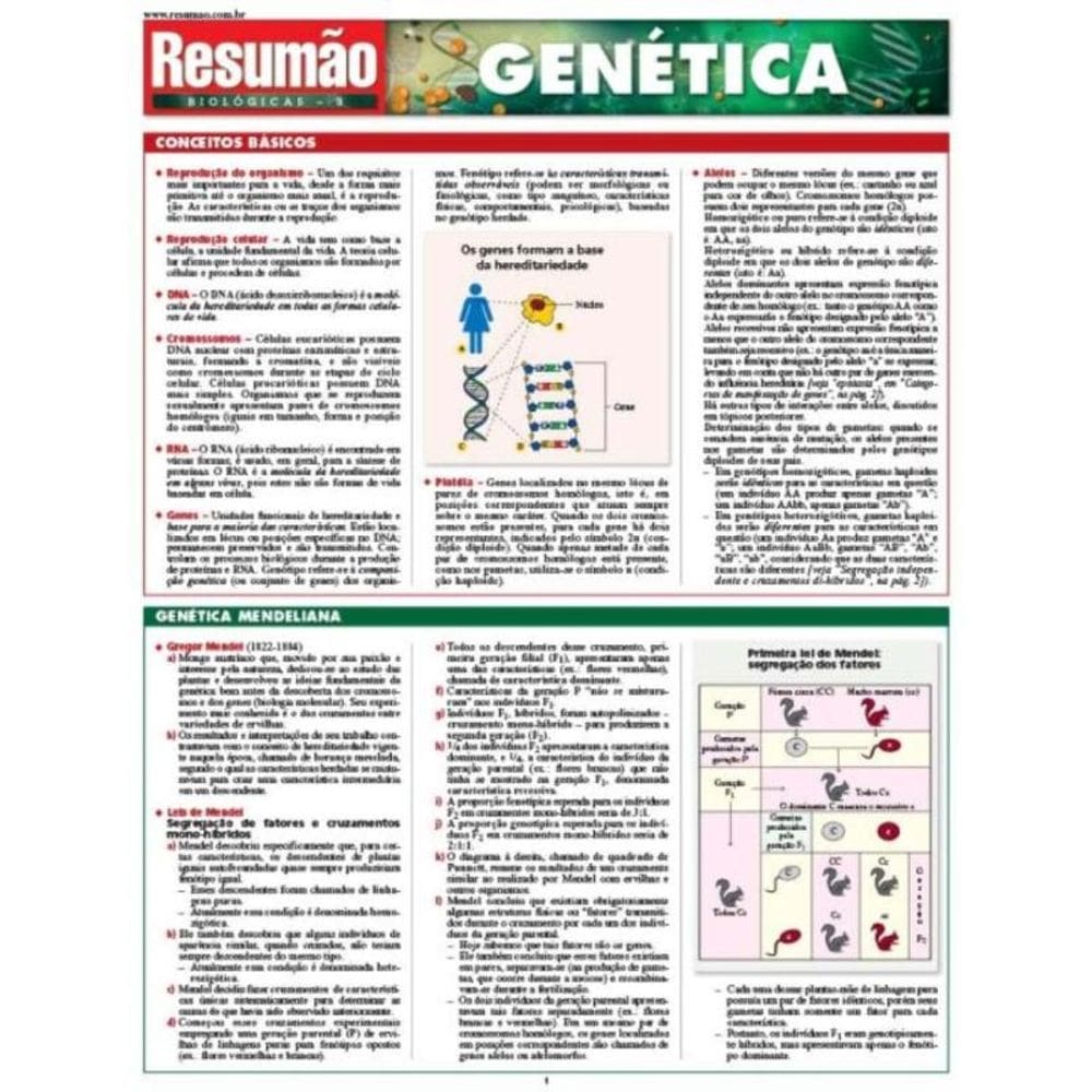 Genetica - 01Ed/08
