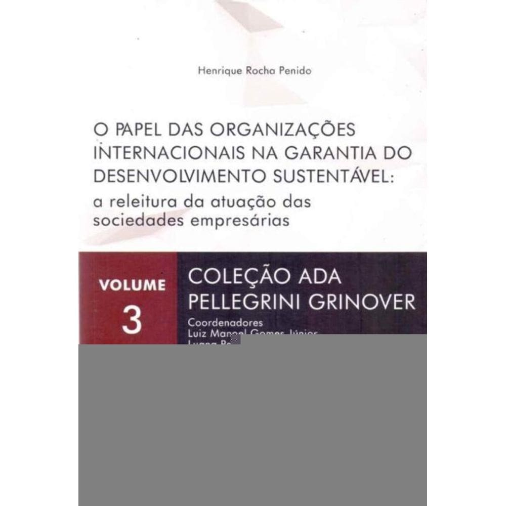Papel das Organizações Internacionais na Garantia do Desenvolvimento Sustentável, O