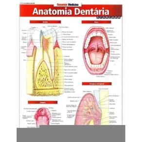 Resumao Medicina - Anatomia Dentária Avançada