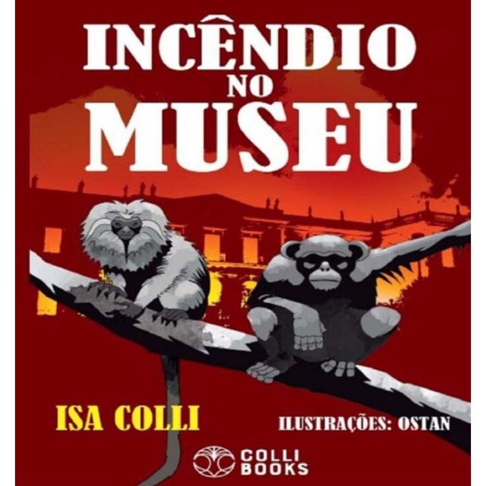 Incendio No Museu