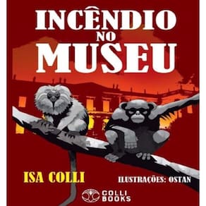 Incendio No Museu