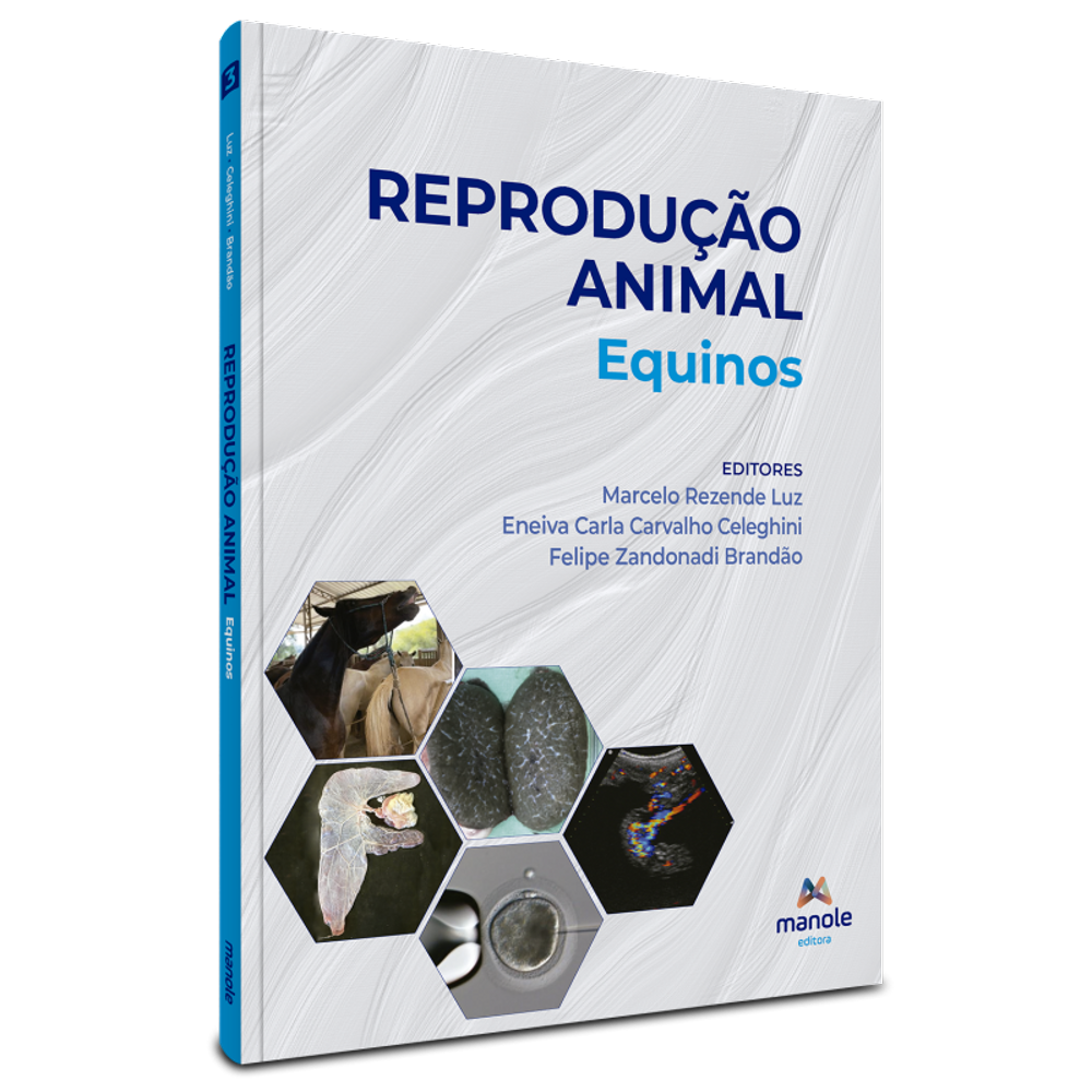 Reproducao Animal - Equinos