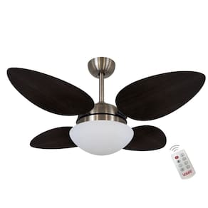 Ventilador Prince Iv Tabaco 110V E Controle Remoto