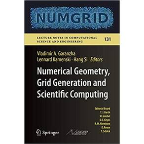 Numerical Geometry Grid Generation And Scientific Computing
