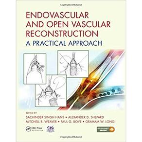 Endovascular And Open Vascular Reconstruction