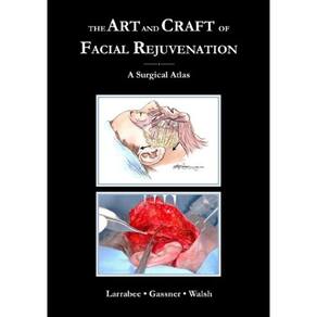 The Art And Craft Of Facial Rejuvenation Surgery