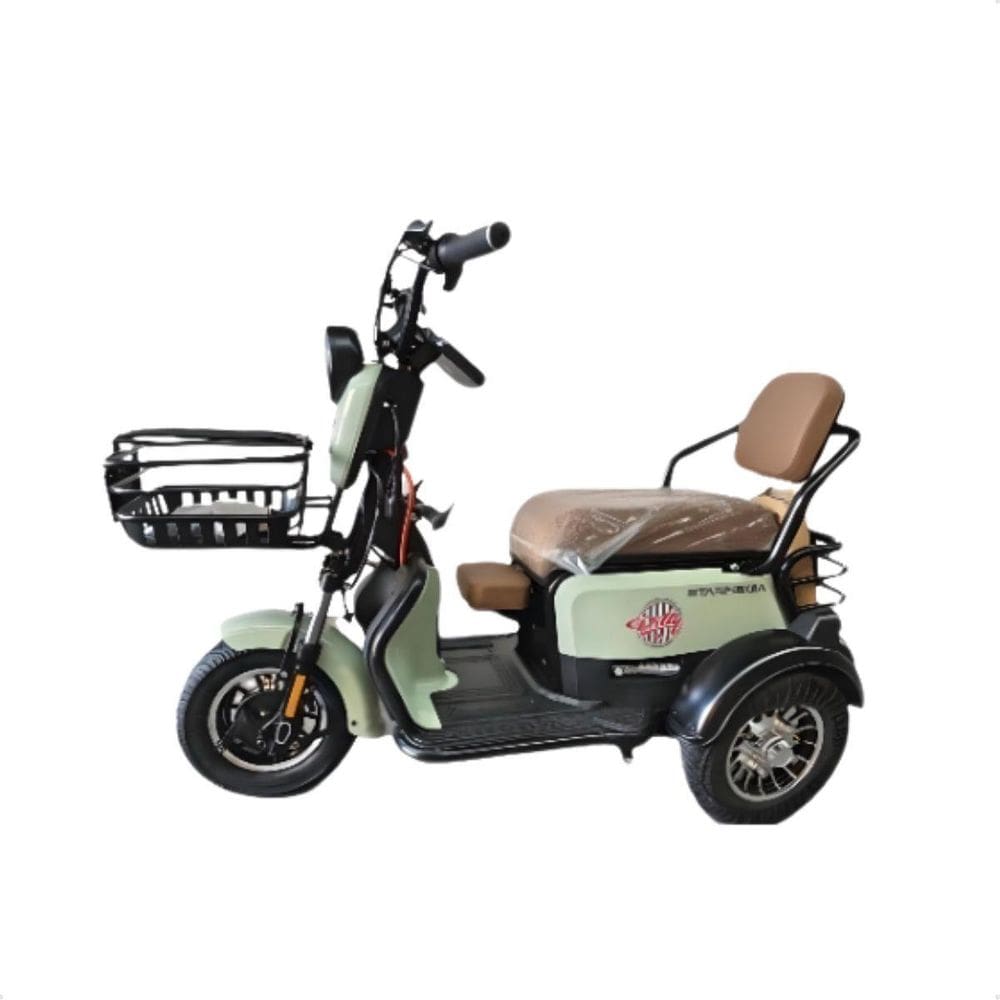 Triciclo Elétrico Scooter 600W 40Km/H Bateria 48V 25000Mah