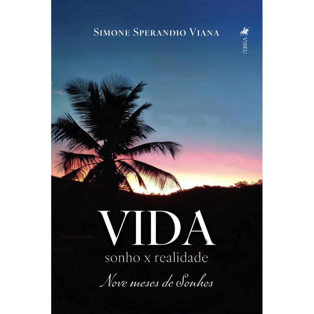 Vida Sonho x Realidade: Nove meses de Sonhos