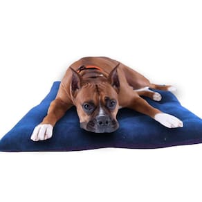 Almofada Pet Tufão Gg Luxo Confortavel Macia Gato E Cachorro Azul