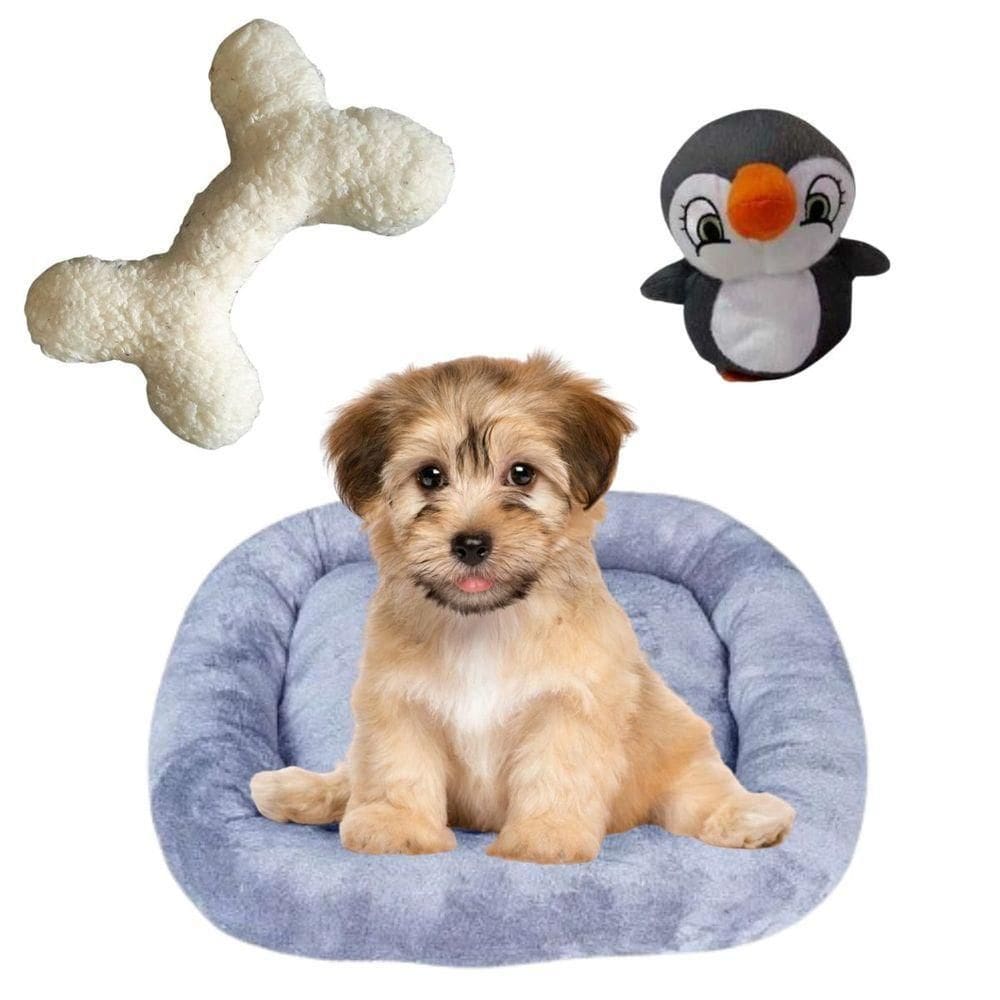 Kit Cama Pet Bigata M Luxo Confortavel Com Osso E Pelucia Cinza