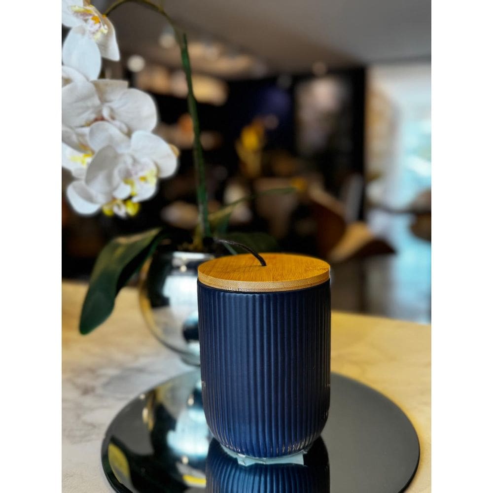 Potiche Ceramica Tampa Bambu E Pegador De Corda Lines Azul