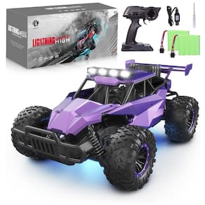 Carrinho de Controle Remoto Escala 116 para Adultos e Crianças com Bateria Recarregável, Roxo, LARVEY, Violeta
