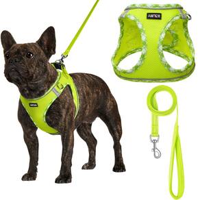 Conjunto de arnês para cães AMTOR Small com coleira para treinar e caminhar