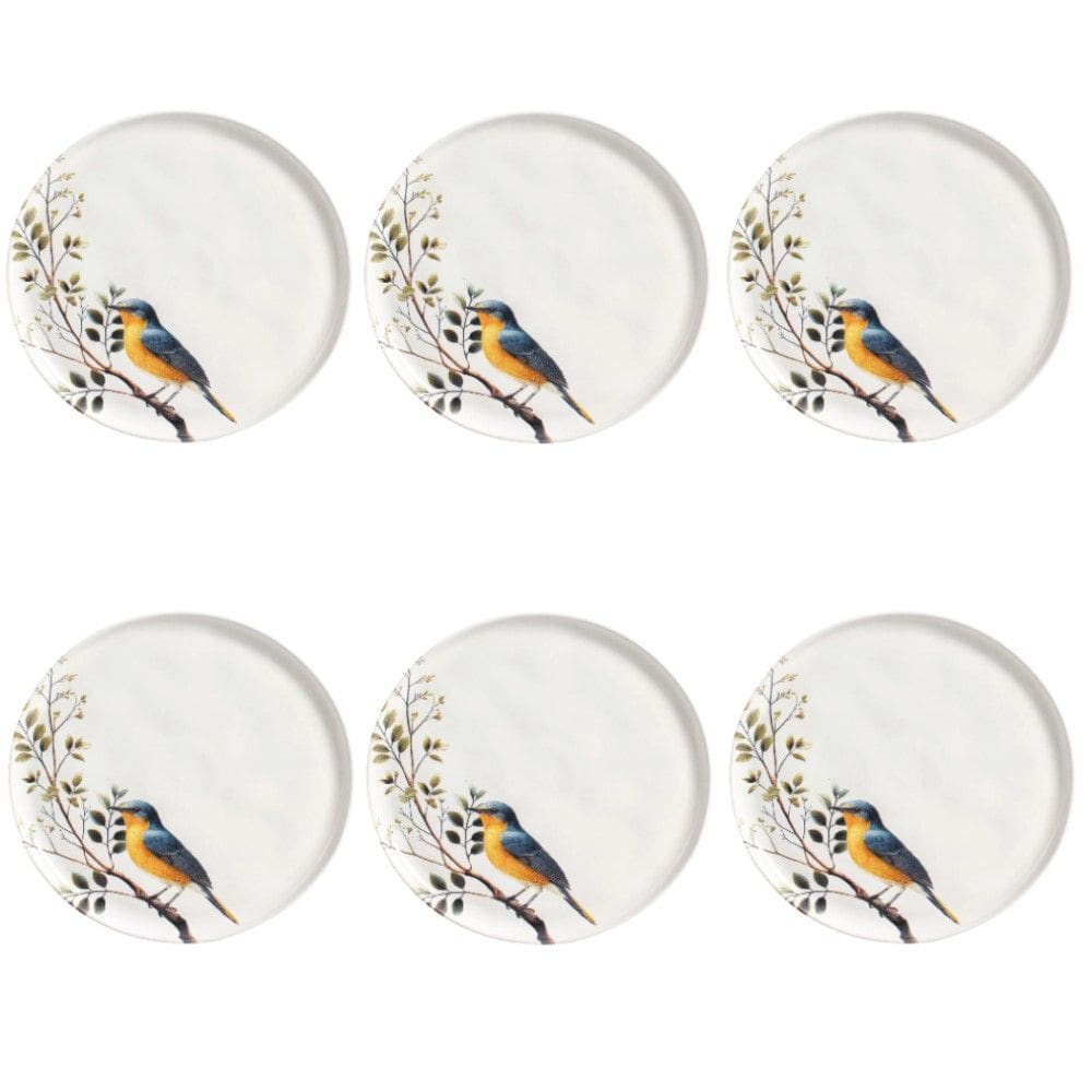 Conjunto de Pratos Rasos 06 Peças Bio Birdy Porto Brasil