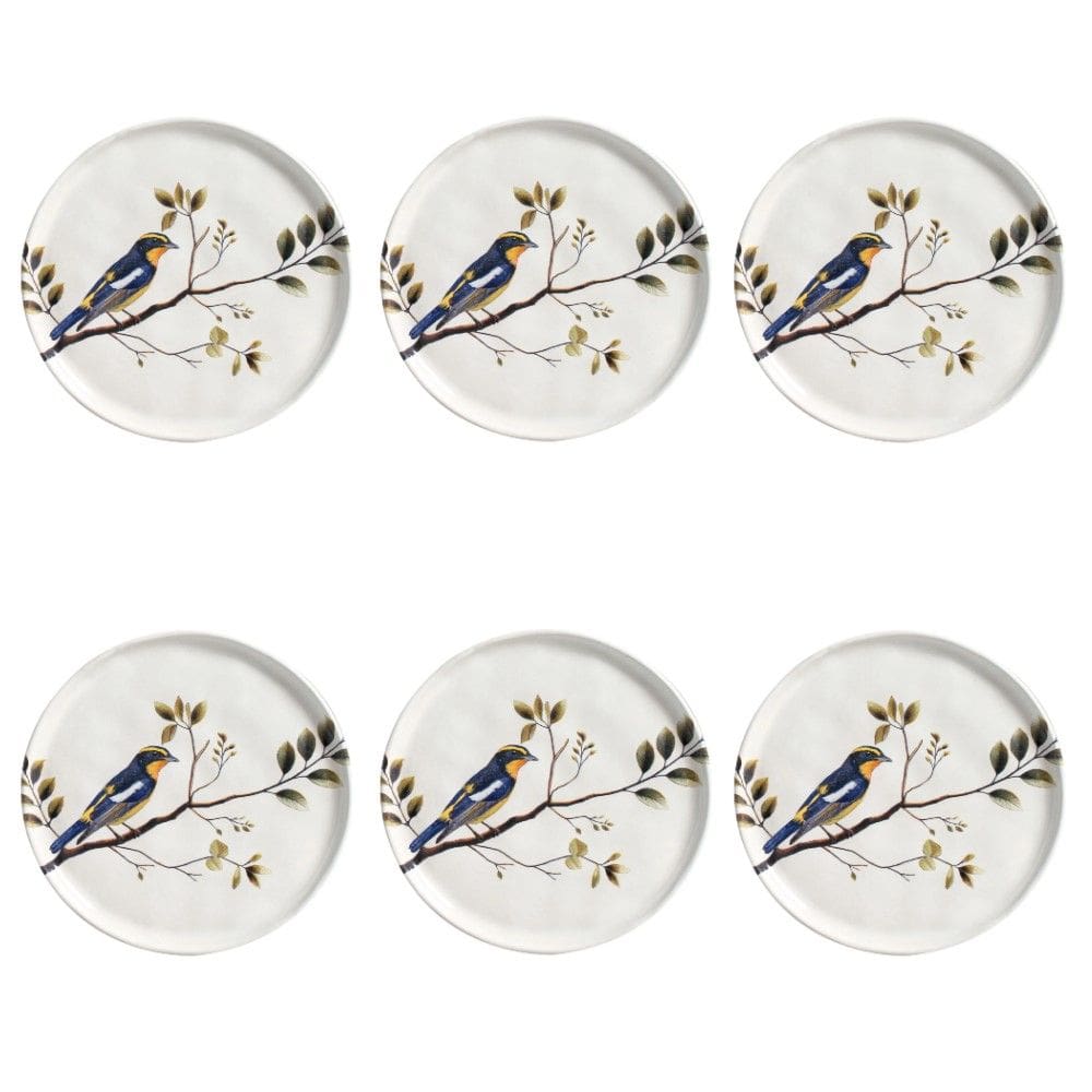 Conjunto de Pratos de Sobremesa 06 Peças Bio Birdy Porto Brasil