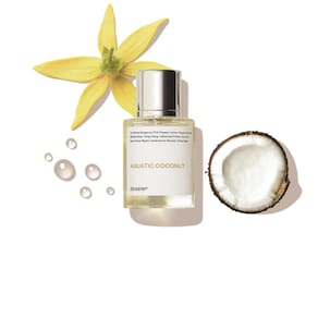 Dossiê de perfume Aquatic Coconut Maison Margiela Replica