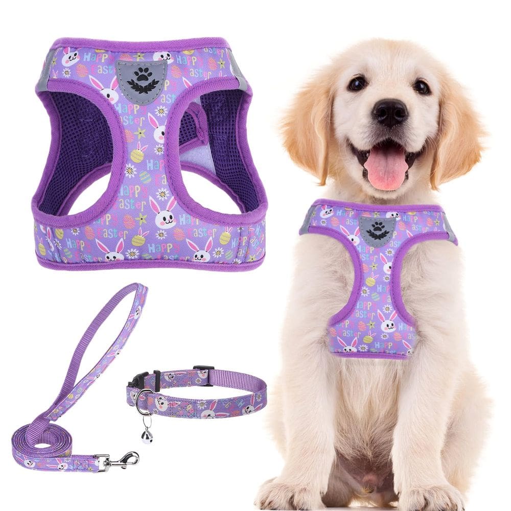 Conjunto de coleira e coleira para animais de estimação PUPTECK ajustável para cães