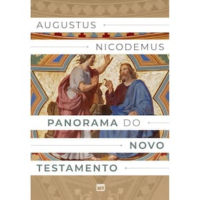 Panorama Do Novo Testamento