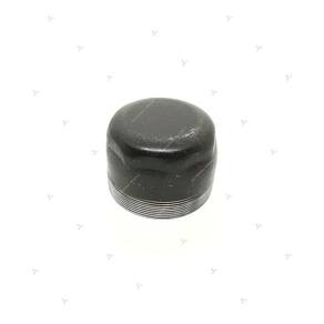 Calota Cubo Com Rosca Vw 690/790/7100/7110/8100/8140/8150