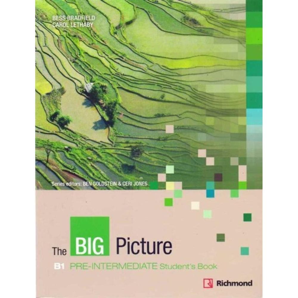 The Big Picture 2 Sb Revised