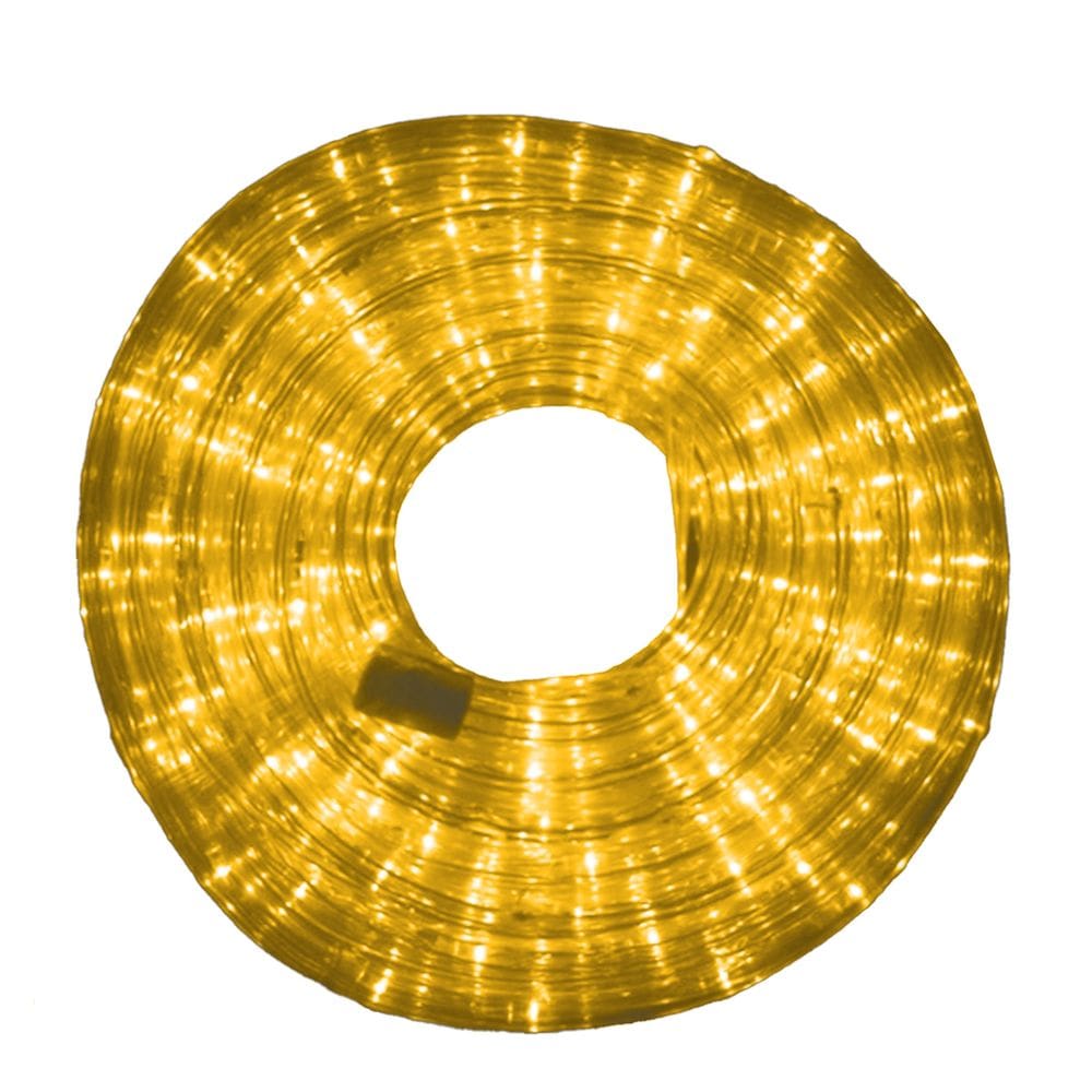Mangueira Iluminada 162 leds Pisca 110v 10m Tomada Decoração Natal Cor:Branco Quente