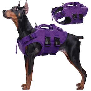 Colete salva-vidas para cães Kuoser High Flotation para natação
